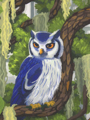 Fort Magic Kit + Dragon Castle Cover Set